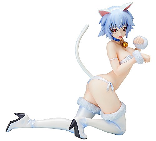 IS: Infinite Stratos - Sarashiki Tatenashi - B-style - 1/4 - Neko ver. (FREEing)