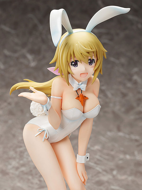 IS: Infinite Stratos - Charlotte Dunois - B-style - 1/4 - Bare Leg Bunny Ver. (FREEing) - Image 6