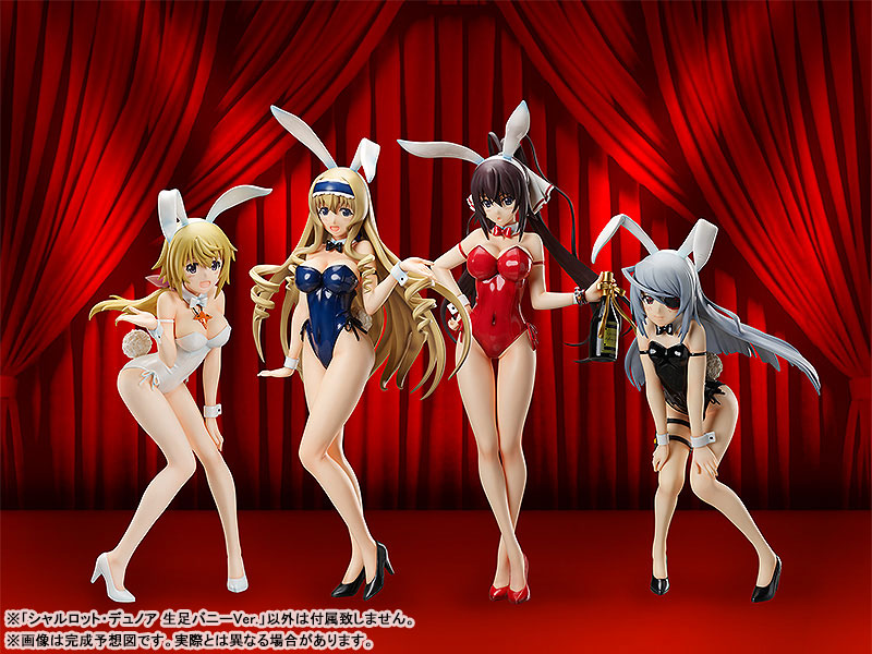 IS: Infinite Stratos - Charlotte Dunois - B-style - 1/4 - Bare Leg Bunny Ver. (FREEing) - Image 7
