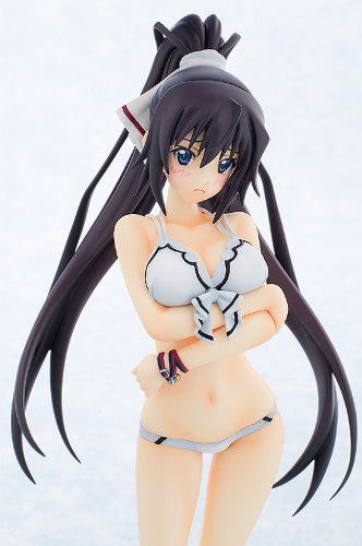 IS: Infinite Stratos 2 - Shinonono Houki - 1/7 - Swimsuit ver. (Gift) - Image 7